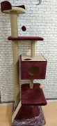 IMG-20171207-WA0005