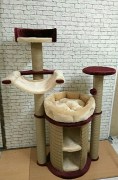 IMG_20180227_202047