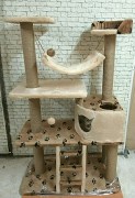 IMG_20180422_092356
