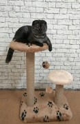 IMG_20180730_111611