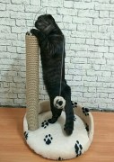 IMG_20180922_155432