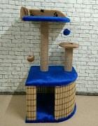 IMG_20190115_231348