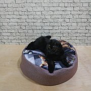 IMG_20190526_094450_224